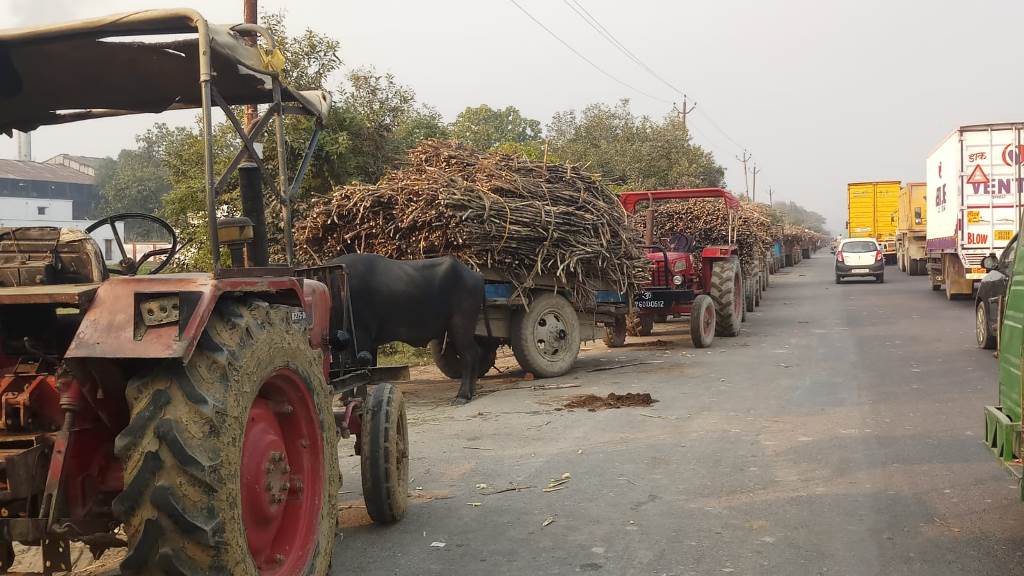 बरेली: किसान सहकारी चीनी मिल सेमीखेड़ा मे गन्ना पेराई के साथ तौल भी शुरू