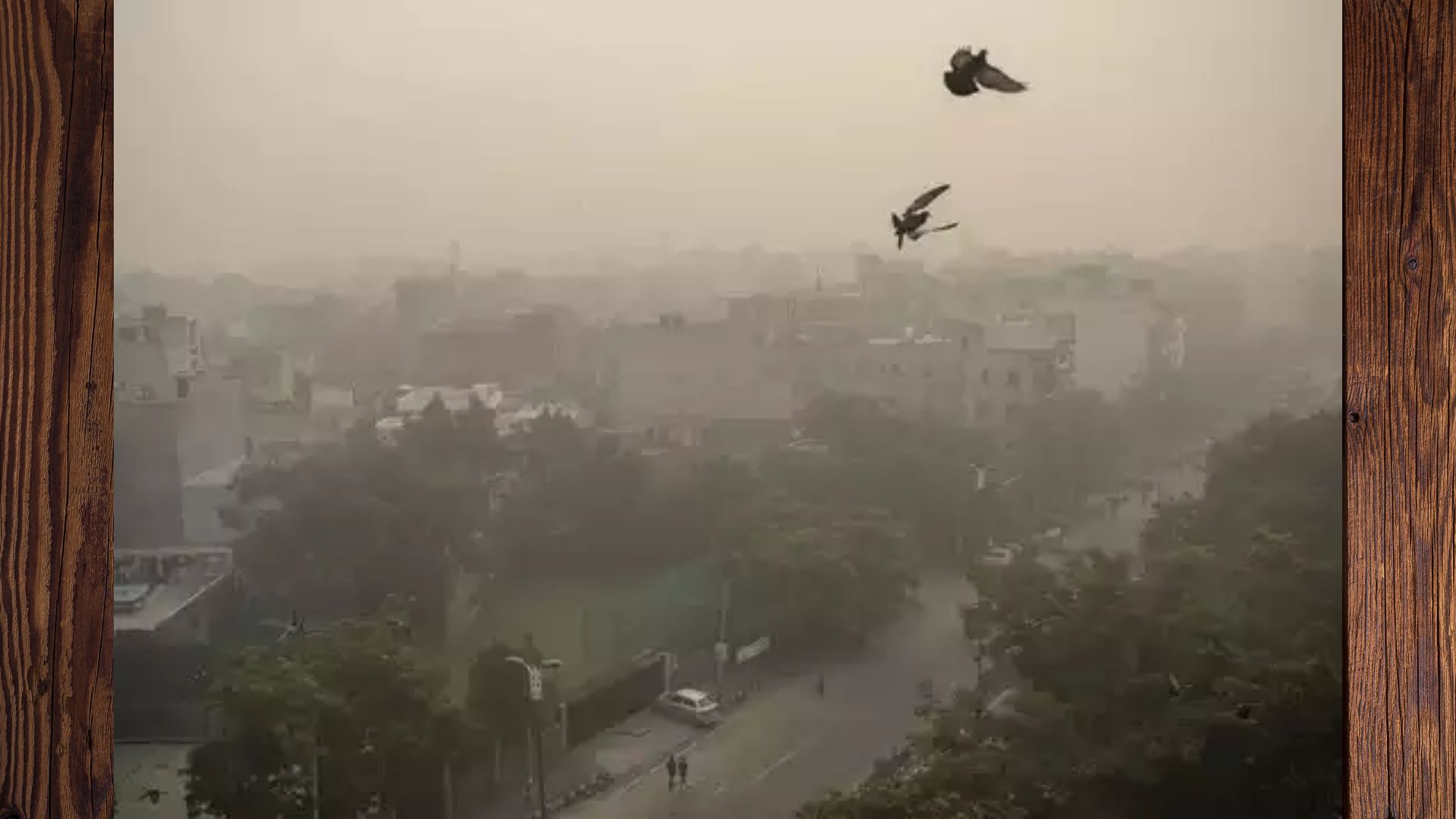 मेरठ: AQI की बढ़ रही रफ्तार, सेहत पर कर रहा वार, विश्व रैंकिंग में दिल्ली प्रदूषण के मामले में अव्वल