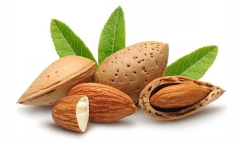 Benefits of almond : ठंड में बादाम खाने के फायदे जान हो जाएंगे हैरान, जानें सेवन करने के पांच सहीं तरीके 