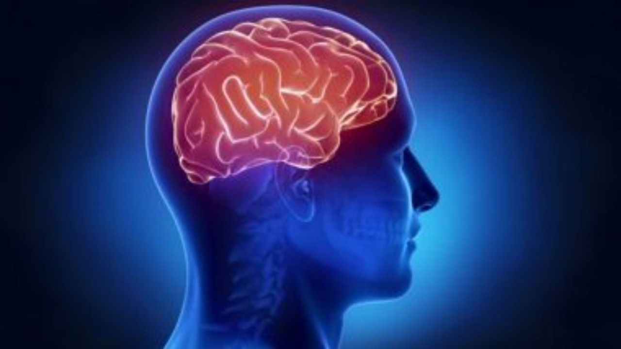 Brain की दुर्लभ बीमारी 'GNB1 Encephalopathy' की दवा खोज रहे Researchers