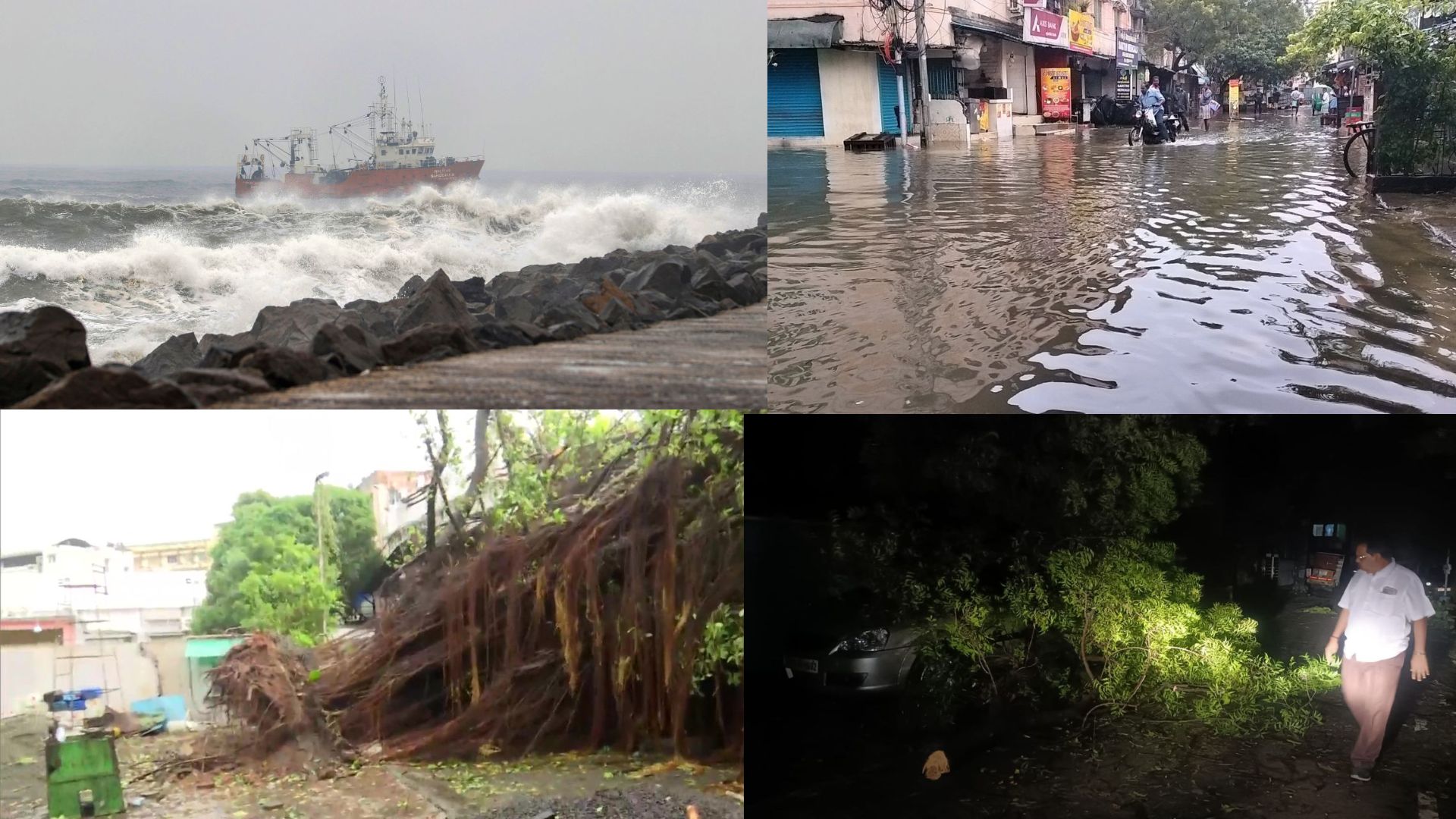 Cyclone Mandous  : 'मैंडूस' ने तमिलनाडु में मचाई तबाही, बारिश..तेज हवाएं..पेड़ टूटे, कई घरों की छतें उड़ीं, स्कूल-कॉलेज बंद