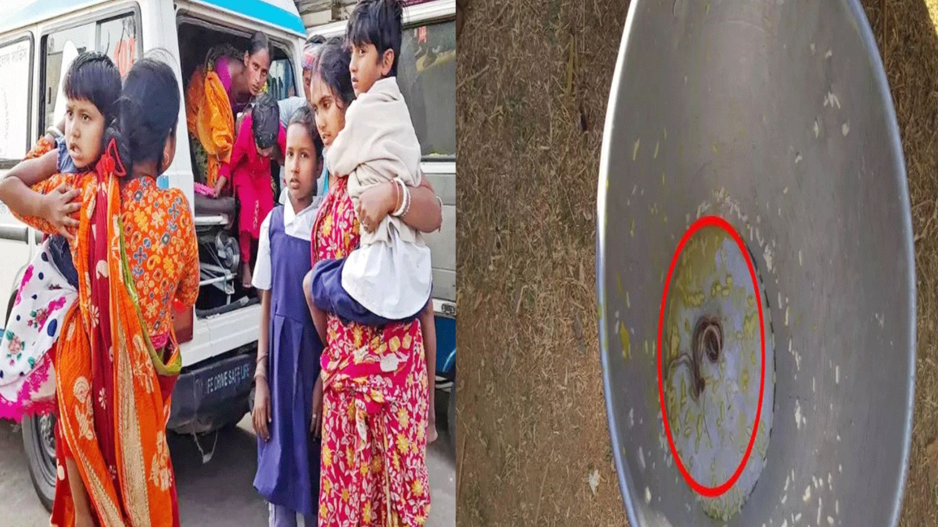 मिड-डे मील की दाल में मिला सांप, खाने के बाद 30 स्कूली छात्र हुए बीमार