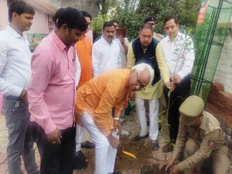 International Forest Day: डीएफओ ने गिनाए मौलश्री के फायदे, पौधरोपण के लिए किया जागरूक  