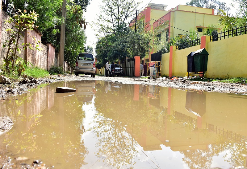 मुरादाबाद : कागजों पर सरपट दौड़ा संचारी रोग उन्मूलन अभियान, नगर निगम बेपरवाह 