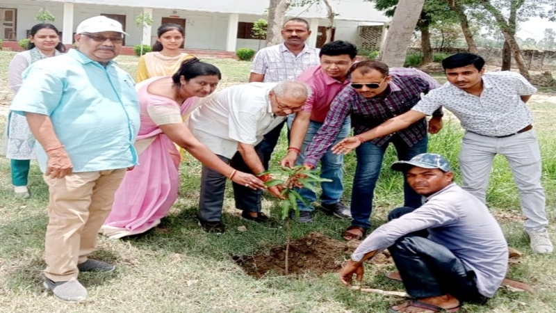 रायबरेली : बैसवारा डिग्री कॉलेज में वृहद पौधरोपण कार्यक्रम आयोजित 