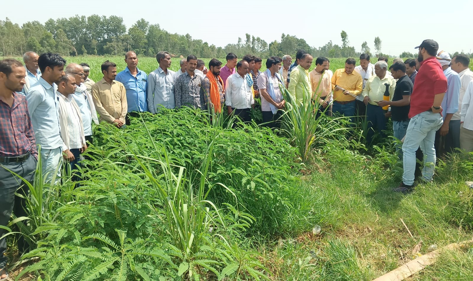 शाहजहांपुर: गंगानगर में हुई कृषि गोष्ठी, किसानों को कम लागत में बेहतर उत्पादन के तरीके बताए