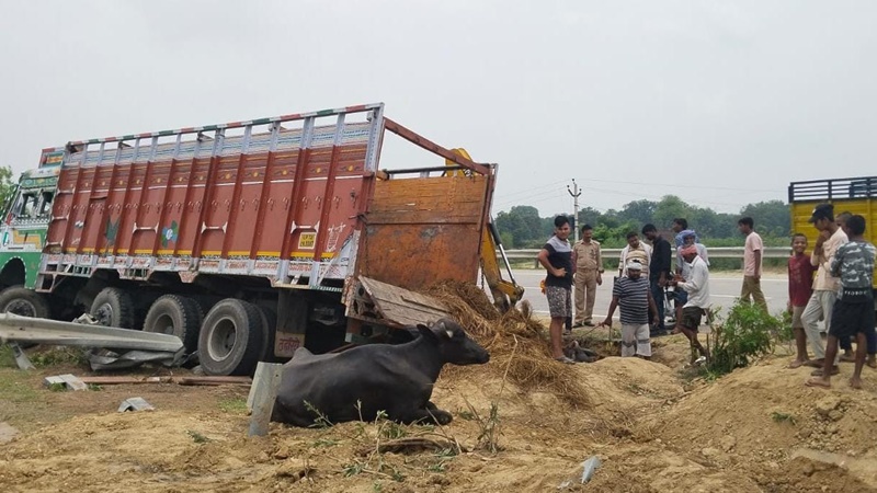 प्रयागराज : मवेशियों से भरी ट्रक अनियंत्रित होकर पलटी, 4 की मौत