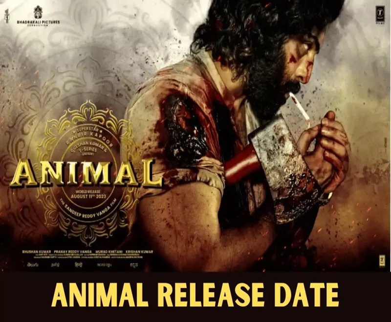 Animal Release Date: रणबीर कपूर की फिल्म 'एमिनल' की रिलीज डेट आई सामने, अब 'गदर 2' से नहीं होगी टक्कर