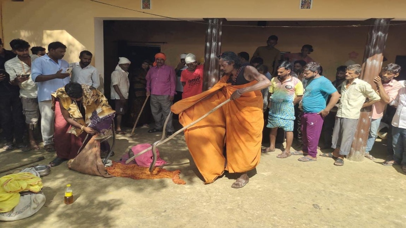 प्रतापगढ़ में सर्पदंश से मृत दो सगे भाइयों के घर मिला नाग का जोड़ा,अभी भी दहशत में ग्रामीण