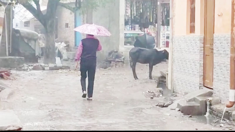 आगरा, मथुरा, फिरोजाबाद में हो रही बारिश से गिरा पारा, बढ़ी ठंड, किसानों के चेहरों पर कहीं दिखा सुकून तो कहीं शिकन