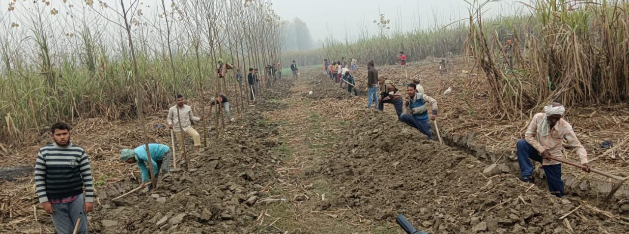 शाहजहांपुर: मनरेगा में बजट का संकट, 55 करोड़ की देनदारी से कराह रहा विभाग, आठ माह से नहीं मिला मानदेय