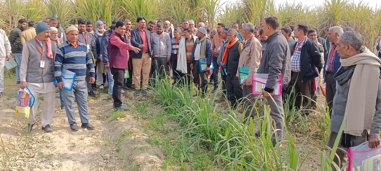 शाहजहांपुरः किसानों ने सीखी गन्ने की बसंतकालीन बुवाई और सहफसली खेती, 100 किसानों को दिया गया प्रशिक्षण