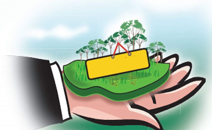 Bareilly News: वन विभाग की दरियादली...IFFCO दबाए बैठा है सैकड़ों बीघा जमीन 
