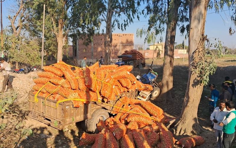 Budaun: शादी के कुछ घंटे बाद ही विधवा हो गई दुल्हन, आंखों से छलकते रहे आंसू...जानिए कैसे मातम में बदली खुशी