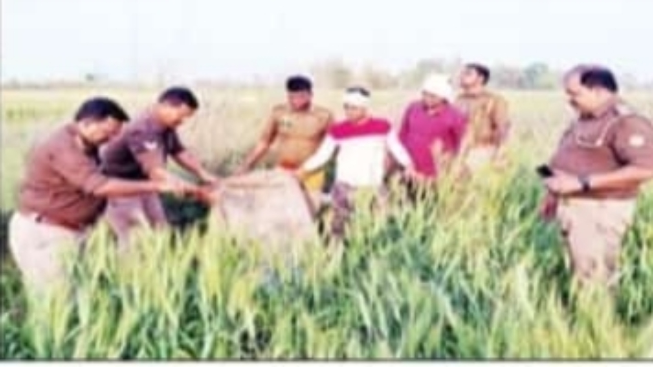 संतकबीरनगर: चुनाव आचार संहिता लागू होते ही खेत और रेत से निकलने लगी अवैध शराब