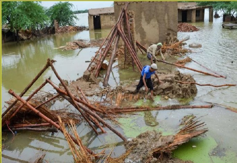 इस्लामाबाद: पाकिस्तान में भयंकर बारिश का कहर, 29 की मौत 50 से ज्यादा जख्मी