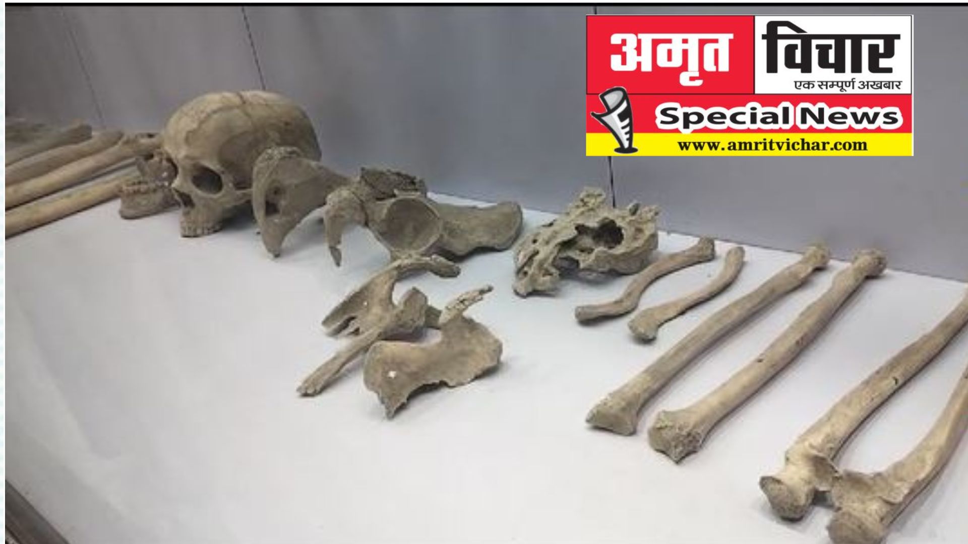 बरेली: टीले की खोदाई में निकले 3100 साल पुराने 'मानव कंकाल', दो कमरों का मकान भी मिला