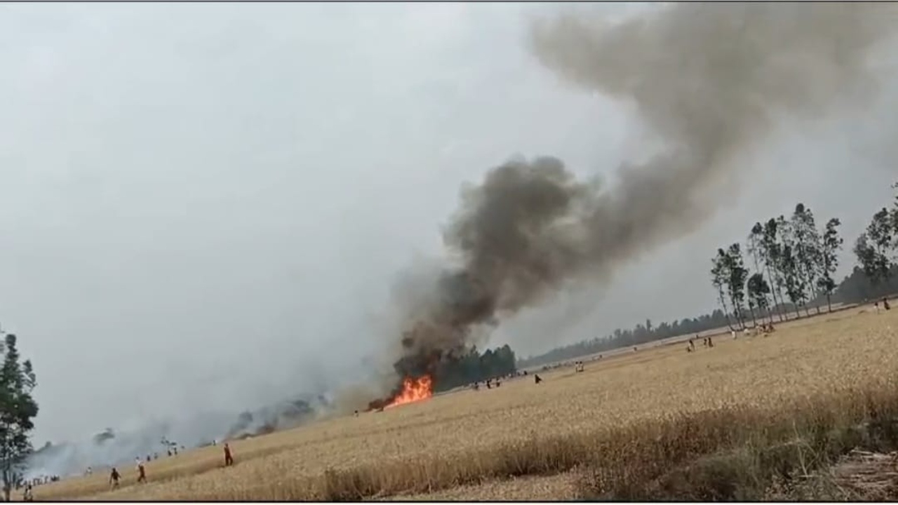 Video: बहराइच में किसानों की 50 बीघा गेहूं की फसल जलकर राख, देखिये कैसे भड़की आग 
