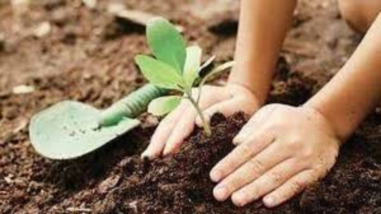 अयोध्या में तय हुआ लक्ष्य, 38 लाख पौधे रोपकर हरियाली लाएंगे 26 विभाग