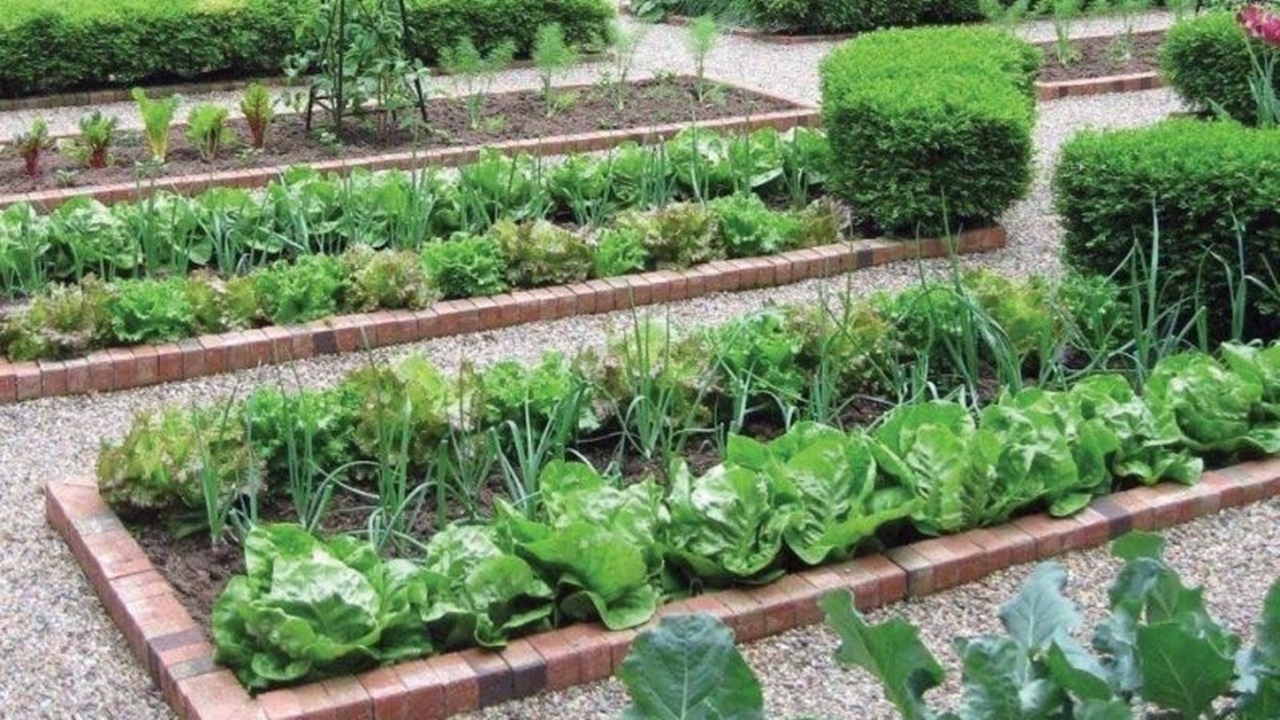 बाराबंकी: स्कूलों में बनेंगे किचन गार्डन, खुद की उगाई सब्जी खाएंगे नौनिहाल