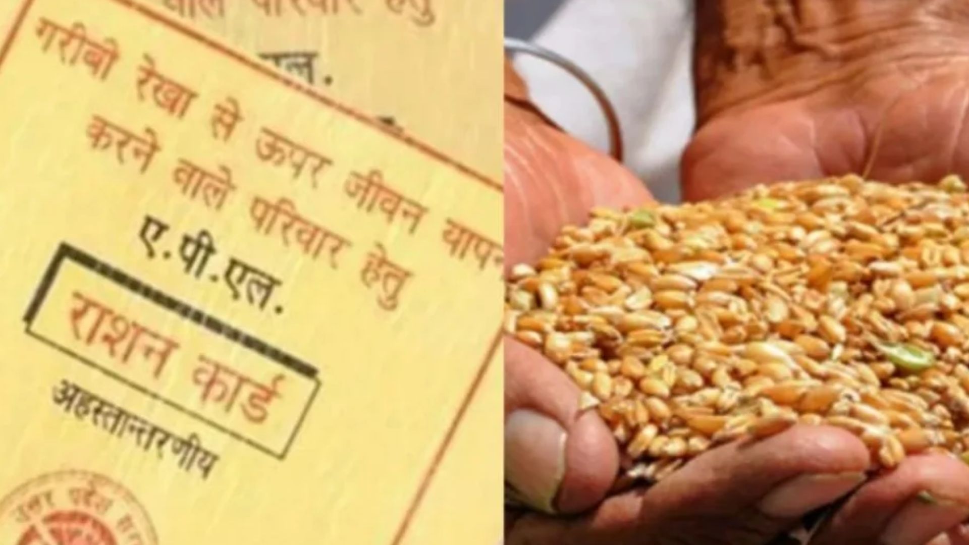 बदायूं: बाजरा की बजाय राशन कार्ड धारकों को मिलेगा गेहूं व चावल, शासन ने जारी किया आदेश 
