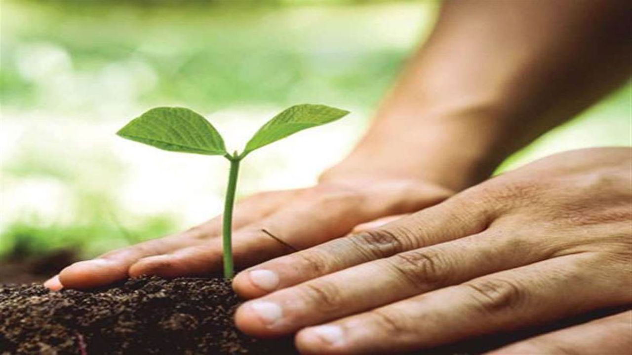 Kanpur: पेड़ लगाओ-पेड़ बचाओ अभियान से बढ़ाएंगे हरियाली, 27 विभागों को मिला लगभग 43 लाख पौधरोपण का लक्ष्य 
