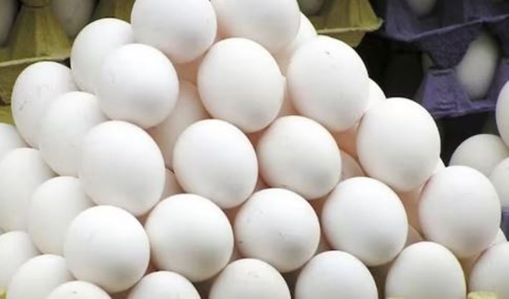 Bareilly News: परिवहन के दौरान अंडे खराब होने से बचाने के लिए शोध, सीएआरआई की ओर से दिए जा रहे कुछ सुझाव 