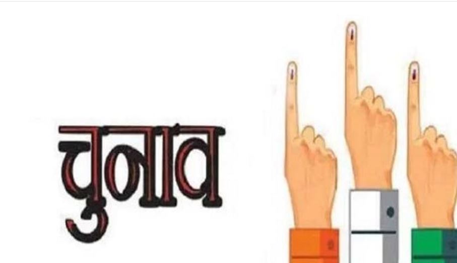 Lok Sabha Election Results 2024  गुजरात में भाजपा ने 14 सीटें जीतीं, अमित शाह गांधीनगर सीट पर विजयी...जानिए कौन कहां से जीता?