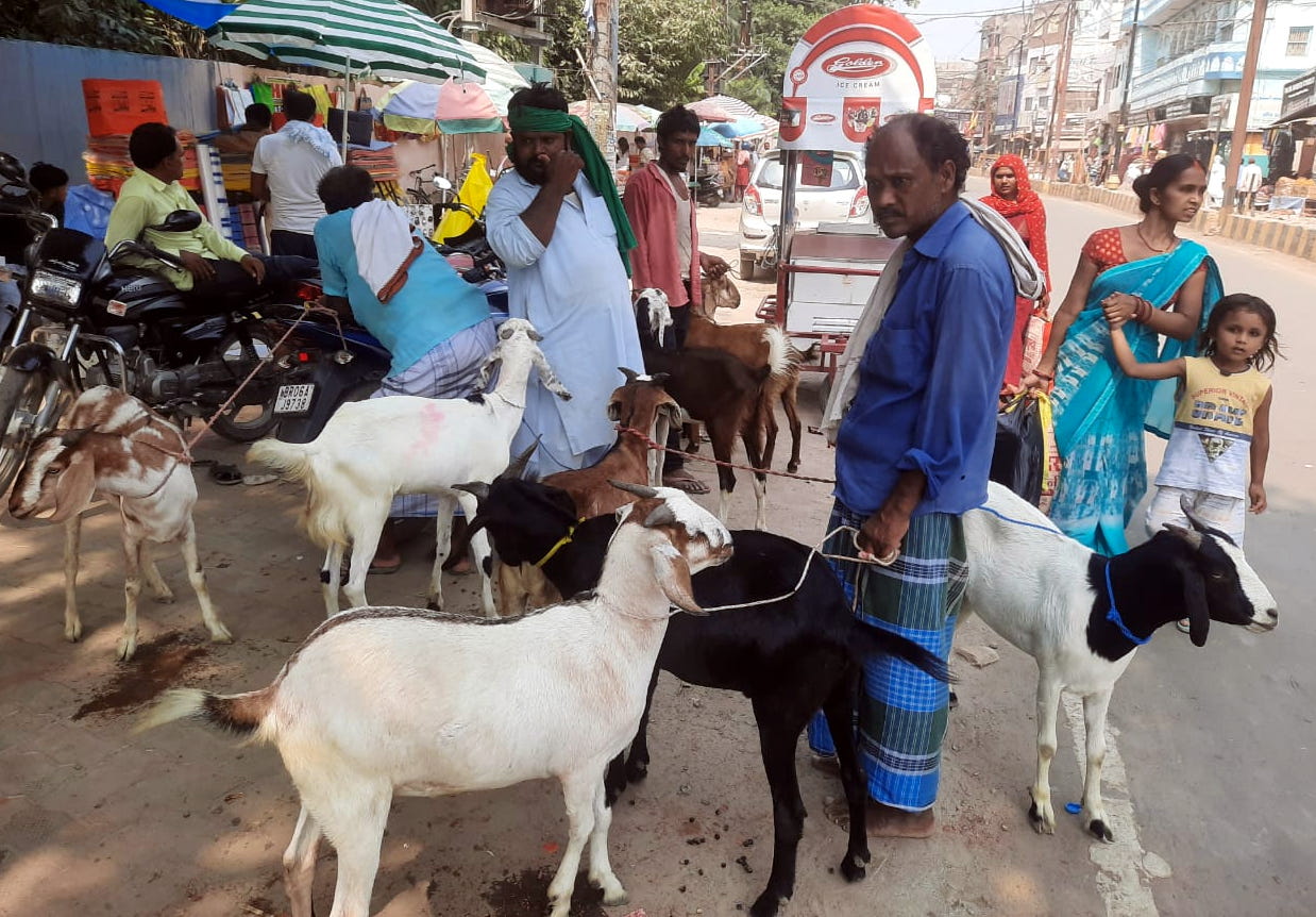 हल्द्वानी: बकरीद पर खुले में न हो कुर्बानी, अपशिष्ट का नगर निगम करे निस्तारण