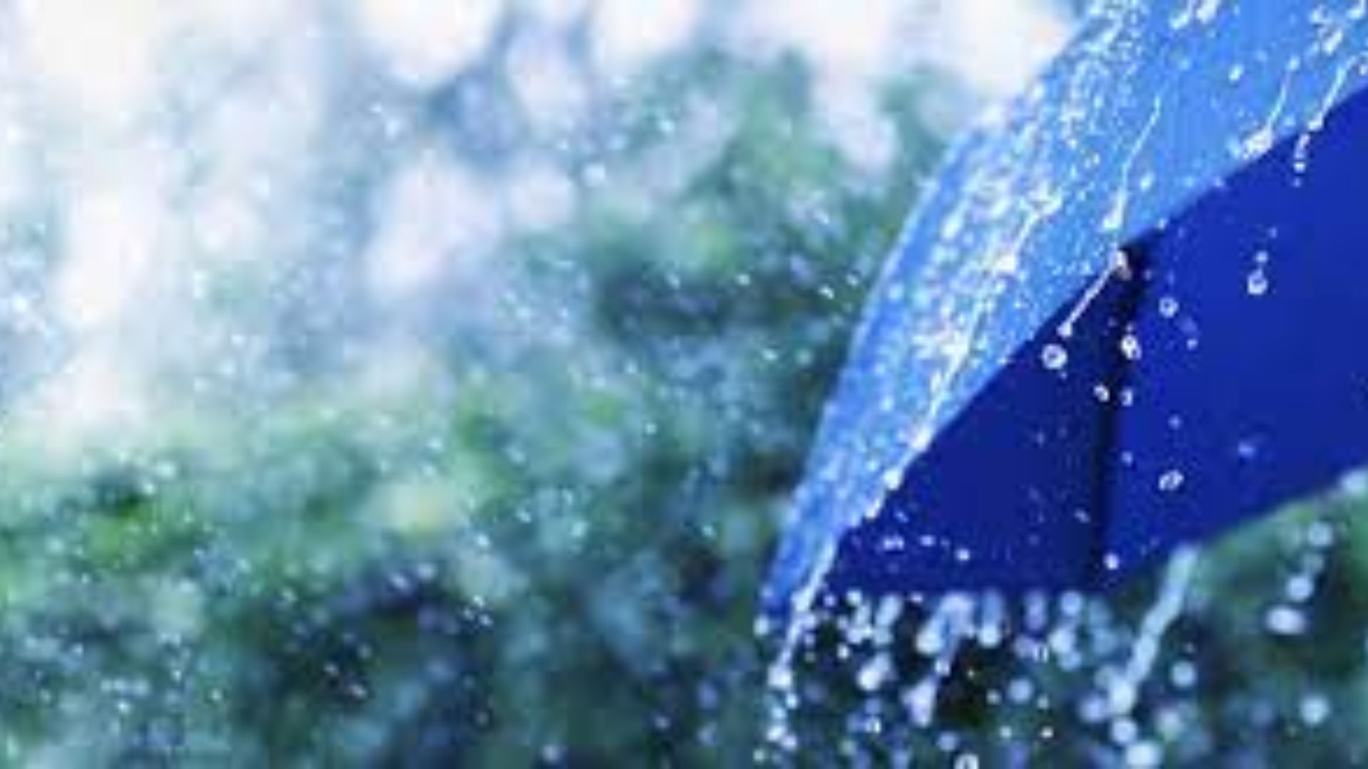 लखीमपुर खीरी: अचानक बदला मौसम का मिजाज, तेज आंधी के साथ झमाझम बारिश...छप्पर-टिनशेड उड़े 