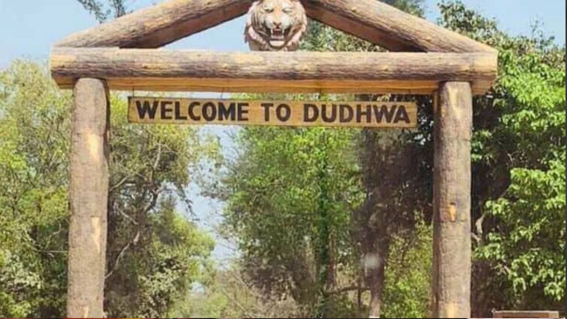 लखीमपुर खीरी: मानसून से पहले दुधवा बाघ अभयारण्य पर्यटकों के लिए बंद 