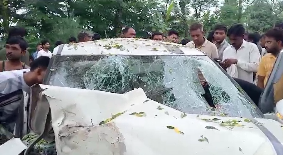 कासगंज: ऑटो को बचाने में कार अनियंत्रित होकर पेड़ में घुसी...पिता और बेटे की मौत, एक की हालत गंभीर