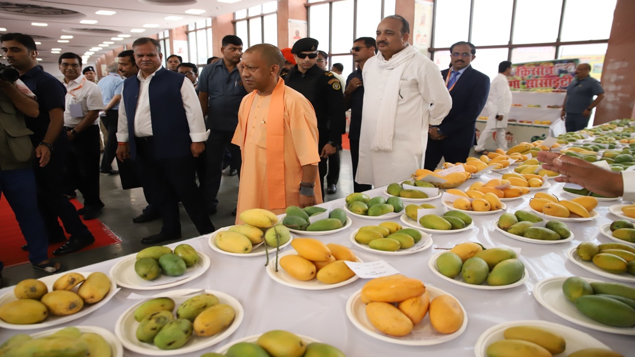 सीएम योगी ने की आम महोत्सव की शुरुआत, कहा- इस साल जापान और मलेशिया को 40 टन आम निर्यात करेगा UP