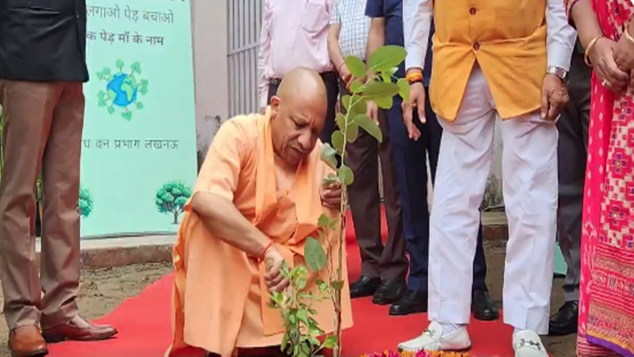 मुख्यमंत्री योगी की प्रदेशवासियों से अपील, लगाएं 20 जुलाई को 'एक पेड़ मां के नाम' 
