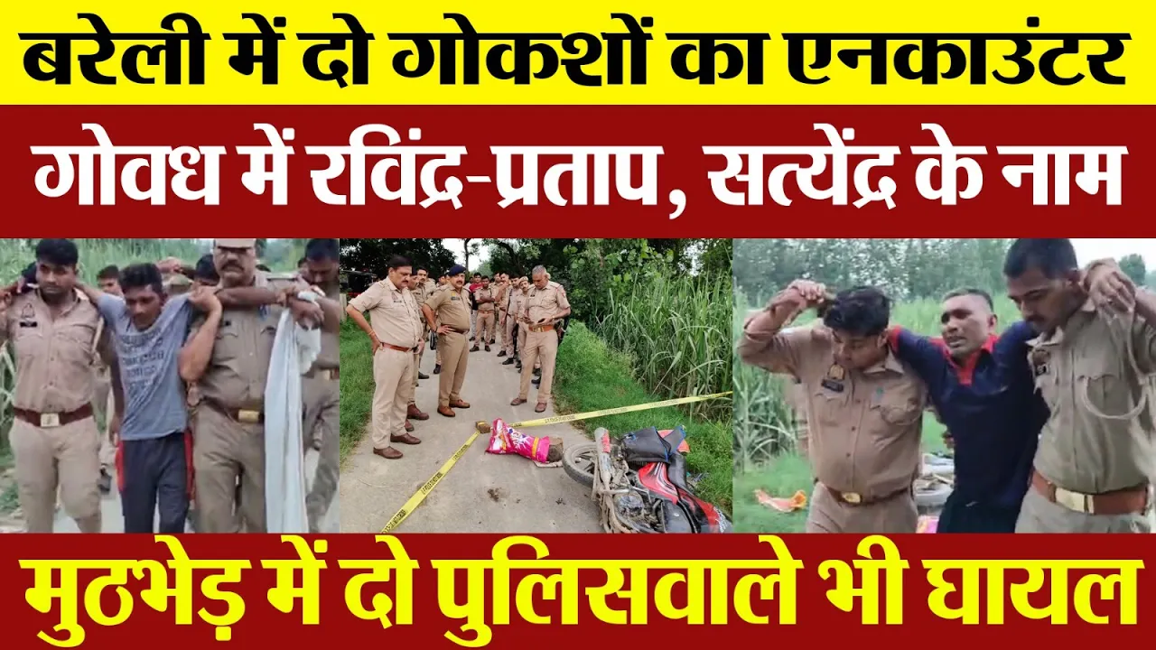 Bareilly News | बरेली में गोकशी के दो आरोपी Encounter में घायल। गिरोह में शामिल हैं रविंद्र-प्रताप