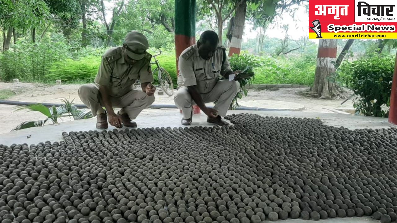 Special News Unnao: अब पौधरोपण के साथ सीड बाल से उगाए जाएंगे पौधे...काफी कम खर्च आएगा, ऐसे होता है तैयार 