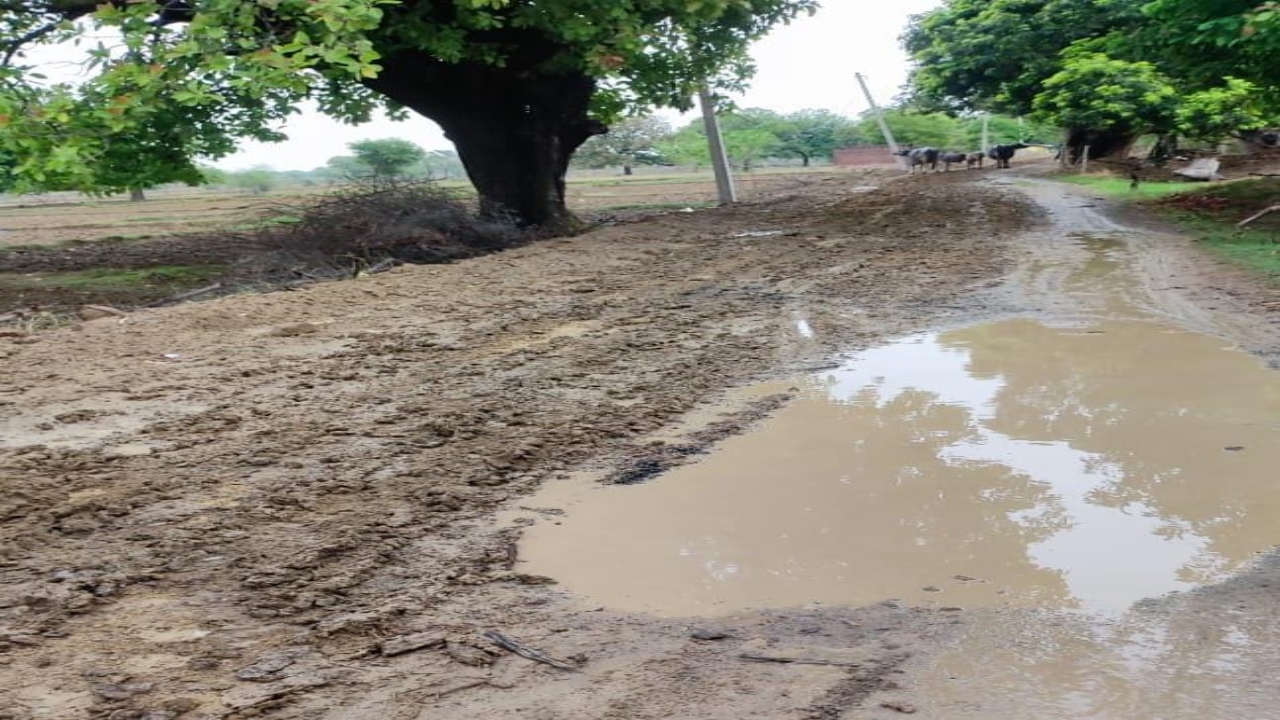 प्रयागराज : बारिश में जलभराव से लोगों की मुश्किलें बढ़ीं