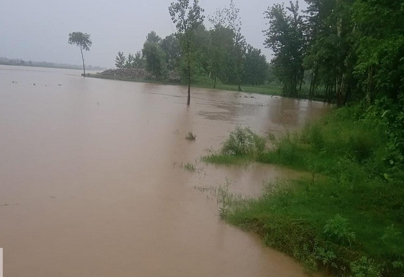 मुरादाबाद : बारिश से बढ़ा रामगंगा का जल स्तर, किसानों को सताया बाढ़ का खतरा 