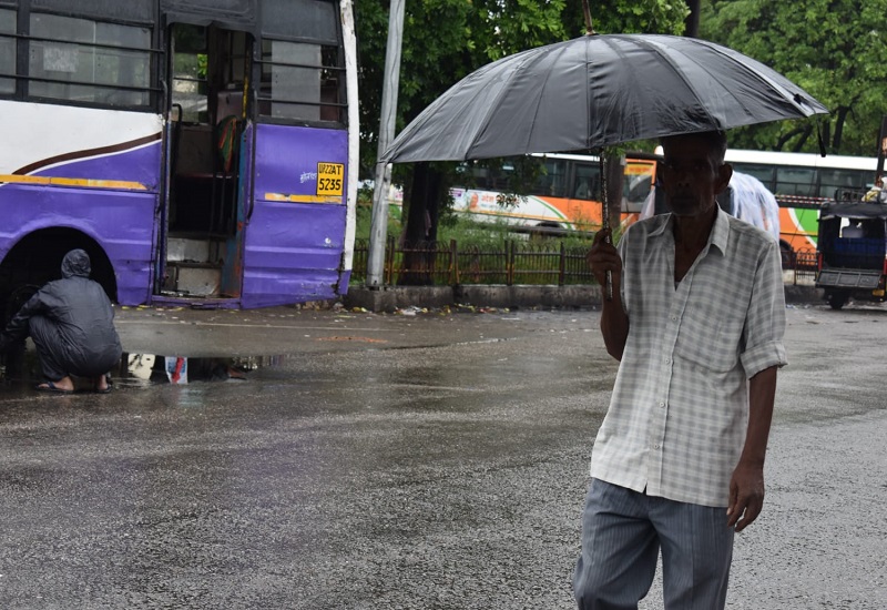 रामपुर : झमाझम बारिश से मौसम हुआ सुहाना, लोगों को गर्मी से मिली राहत