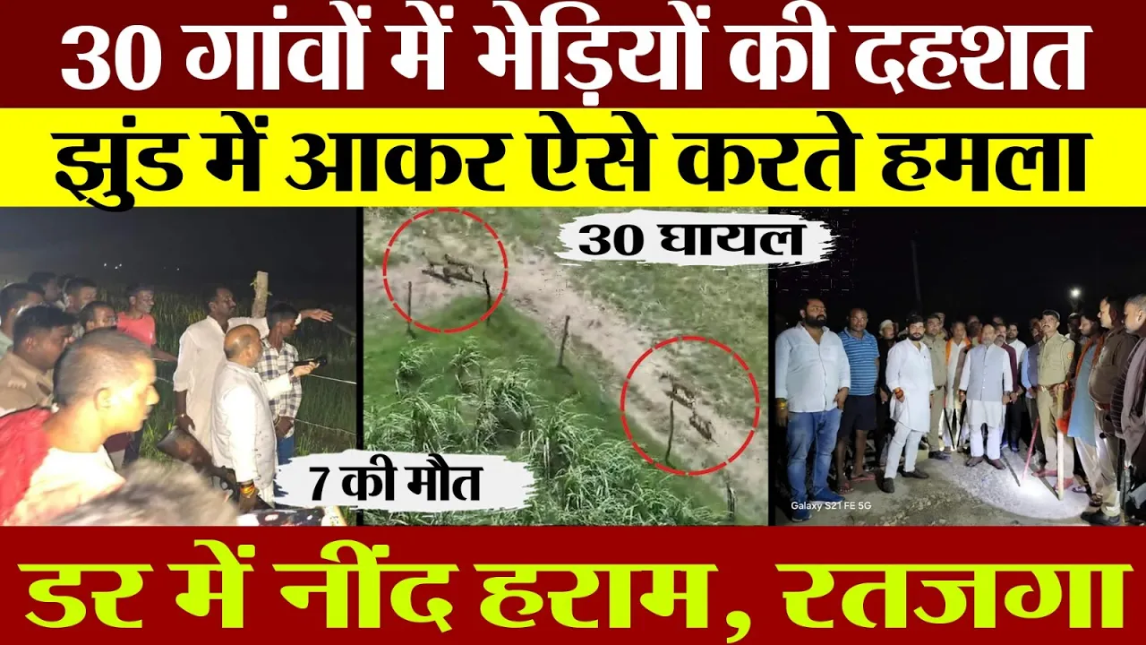 Bahraich News : UP में Tiger तो कहीं भेड़िया। 30 गांव में भेड़ियों की दहशत। हमलों के बीच रातें हराम