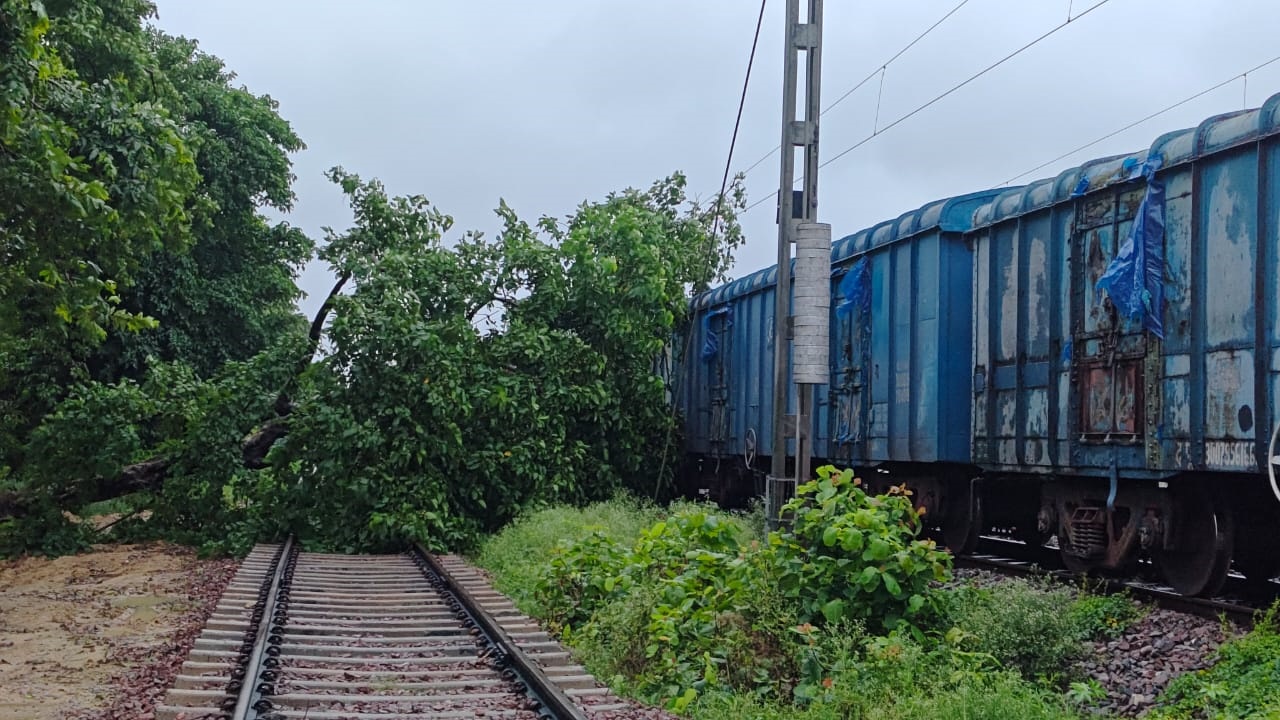 बस्ती: मुंडेरवा में मालगाड़ी पर गिरा पेड़, चालक ने ट्रेन से कूद कर बचाई जान