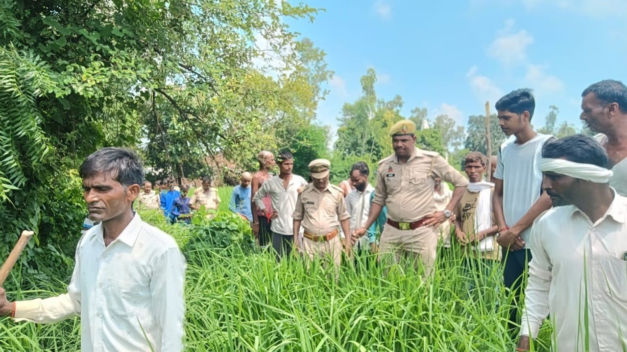 बाराबंकी: जंगली जानवर के हमले में मरा बछड़ा,  इलाके में दहशत, वनकर्मी सतर्क