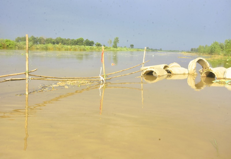 मुरादाबाद : खतरे के निशान से सिर्फ 40 सेमी. नीचे रामगंगा, गागन भी बढ़त पर