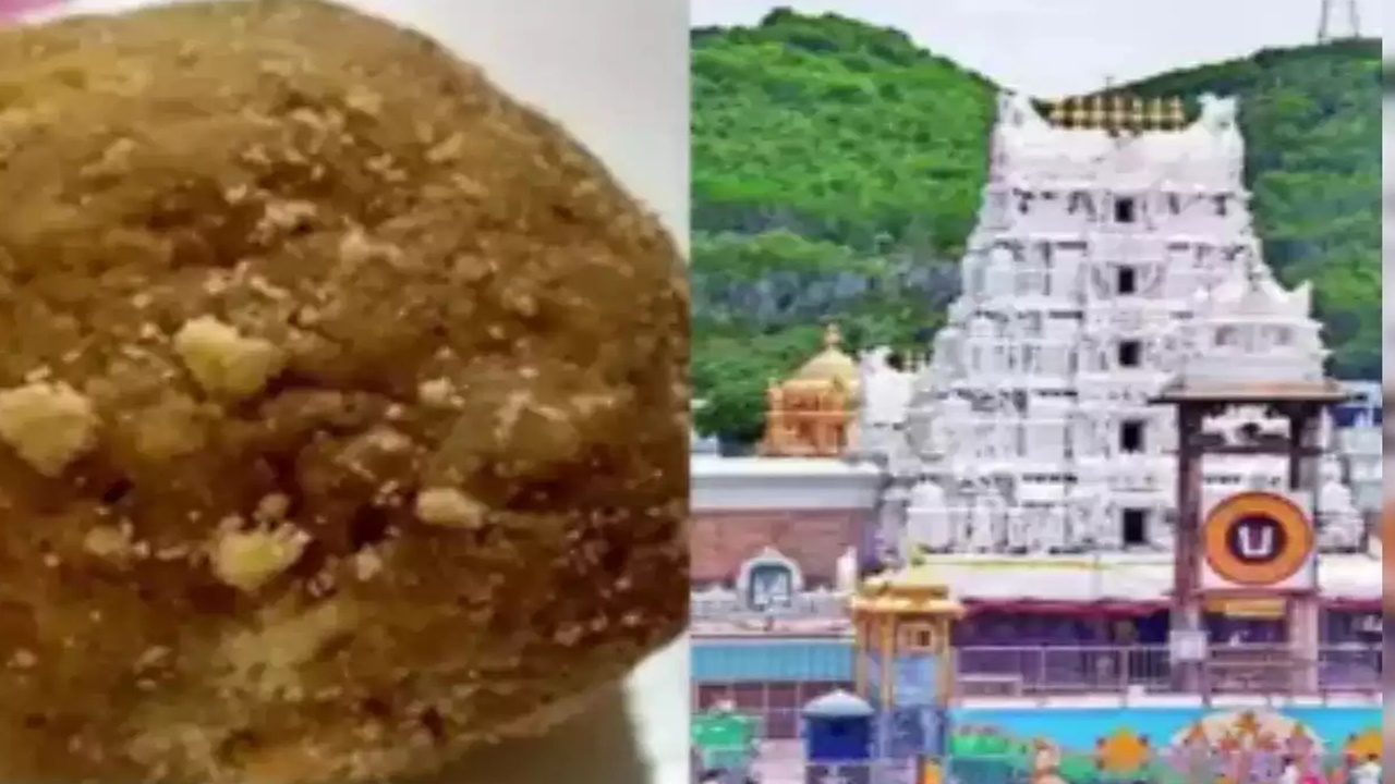 Tirupati के 'लड्डू प्रसादम' की पवित्रता बहाल कर दी गई है', मंदिर प्रशासन ने जारी किया बयान, जानें क्या कुछ कहा..