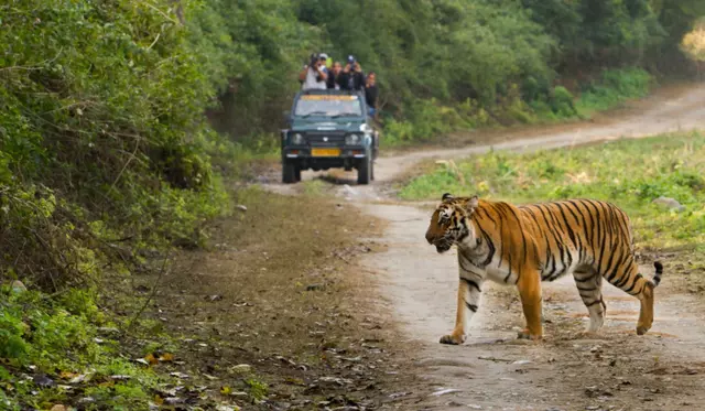 टनकपुर: जिम कॉर्बेट ट्रेल से युवाओं को मिलेगा रोजगार: डॉ. पांडेय 