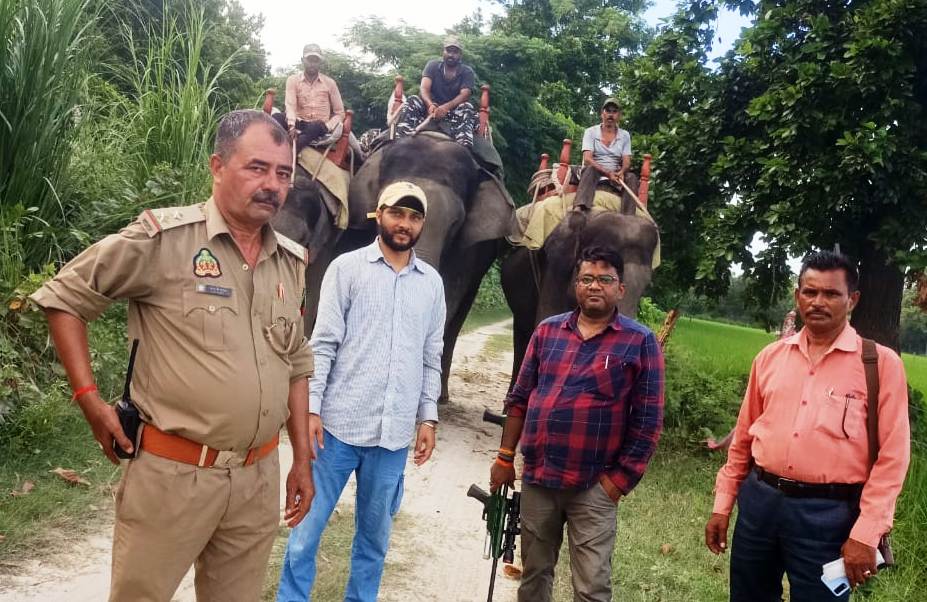 पीलीभीत: हाथियों की मदद से की गई कॉबिंग, बाघ की मौजूदगी वाले क्षेत्र में पहुंची टीम...निगरानी बढ़ाई 