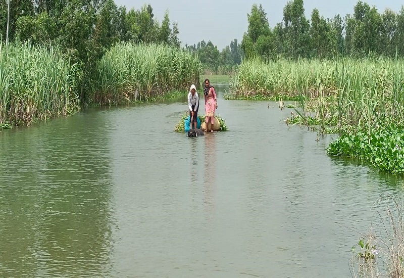 अमरोहा : तिगरी में गंगा का 20 सेमी. बढ़ा जलस्तर, ग्रामीणों हो रही परेशानी