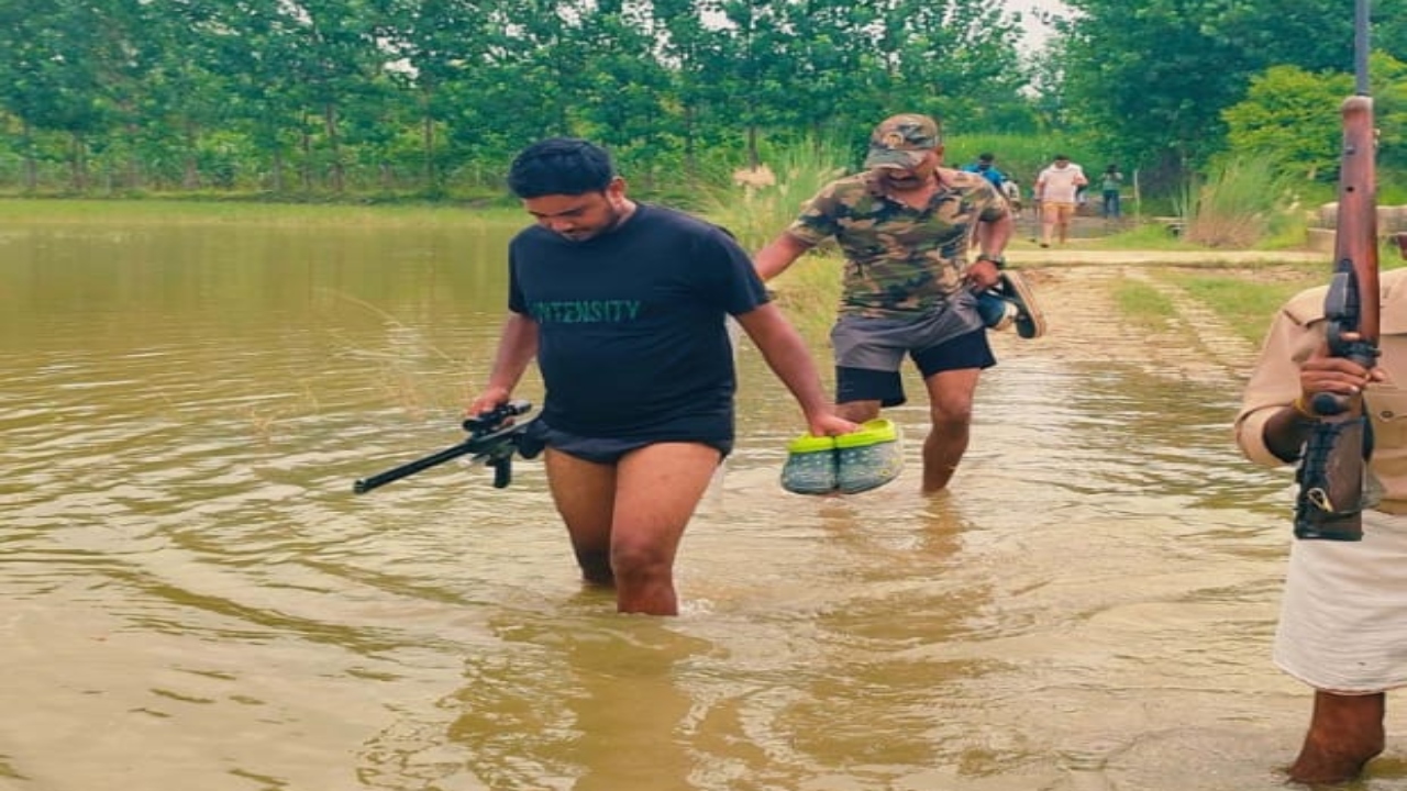 अब मवेशियों को निशाना बना रहे भेड़िया : बंदूक लेकर खोज कर रहे शूटर