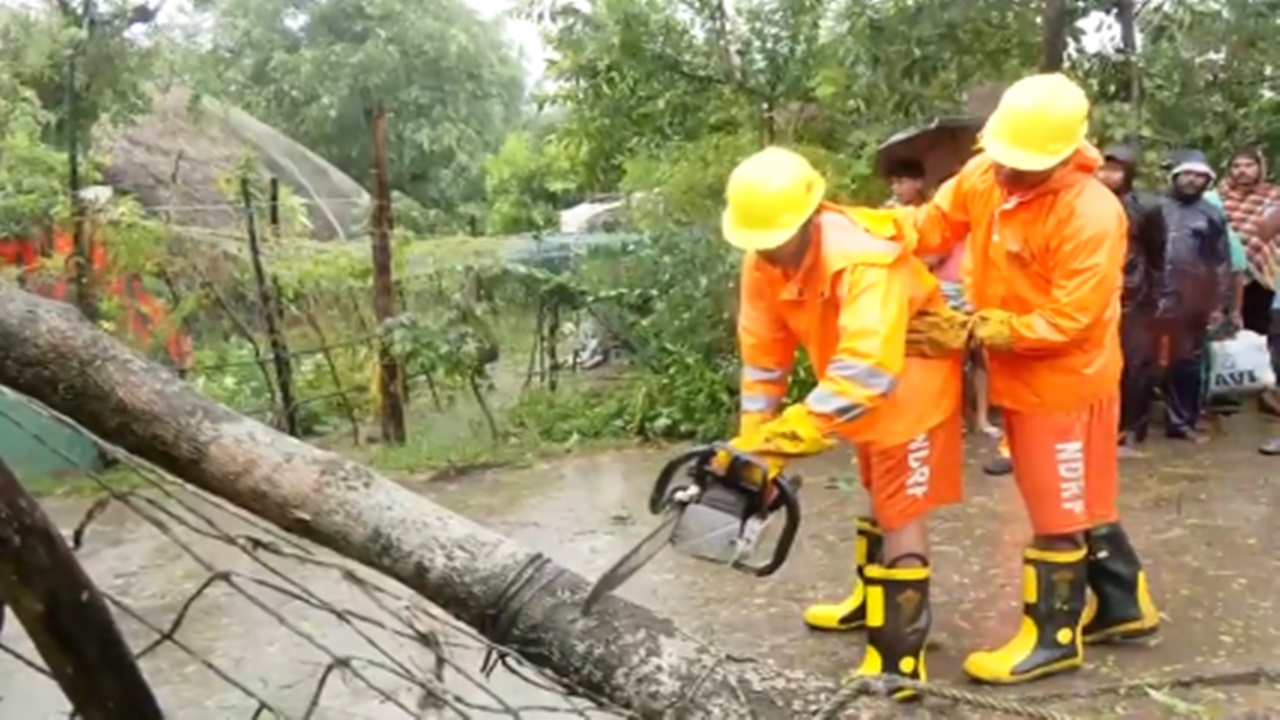 Cyclone Dana: ओडिशा में NDRFऔर ODRAF की टीमों ने शुरू किया ‘दाना’ के कारण उखड़े हुए पेड़ों को हटाना