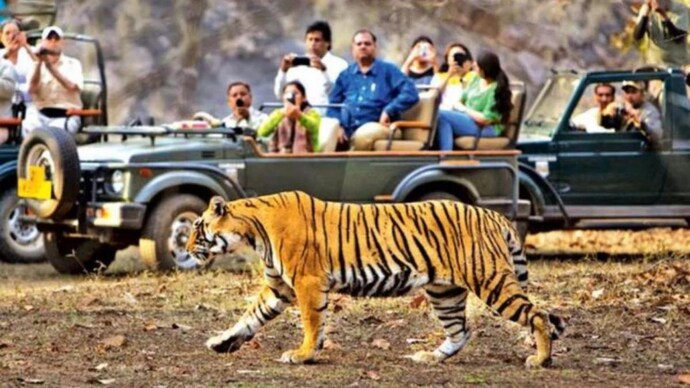 हल्द्वानी: टाइगर देखने के लिए अब लोगों के पास होगा एक और ऑप्शन, अगले महीने से खुल सकता है नया जोन